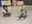 Kindcentrum Kunstenmakers heeft Yoga les 4.jpeg