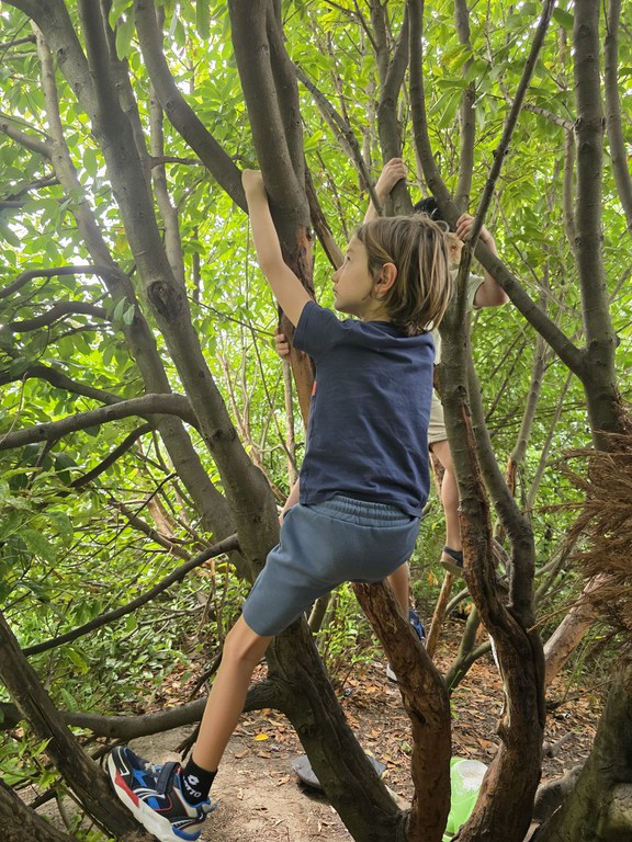 Kindercentrum Kunstenmakers: Jungle-avontuur in de Oostvaardersplassen
