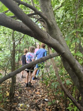 Kunstenmakers op Jungle expeditie 2.jpeg